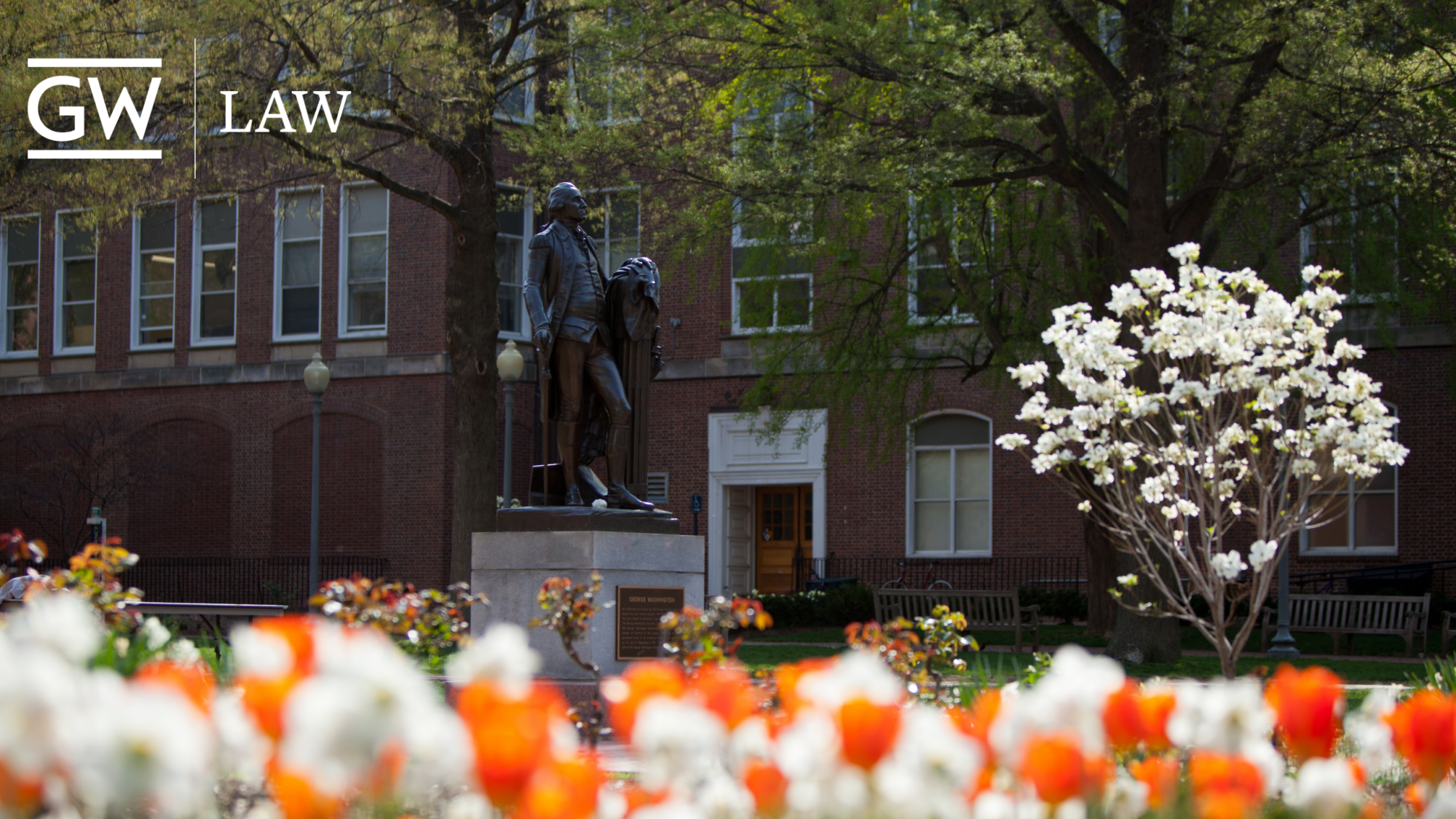 Quad zoom background