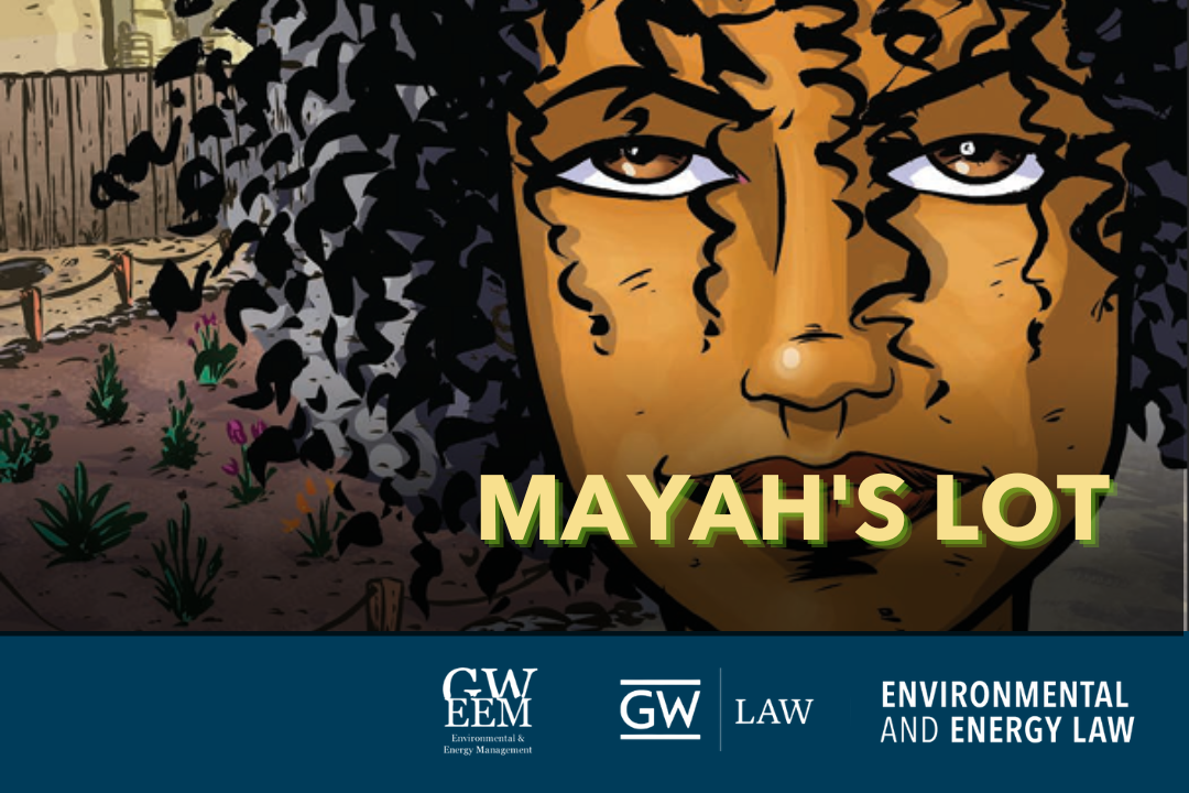 Mayah's Lot book cover