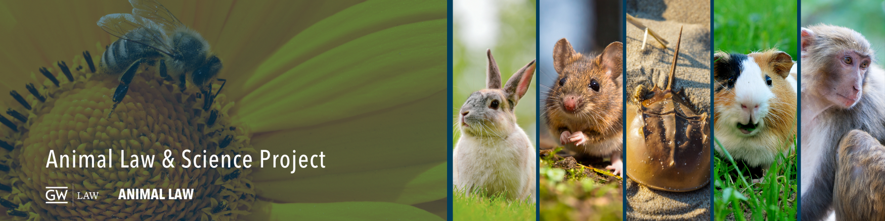 Animal Law & Science Project at GW Law