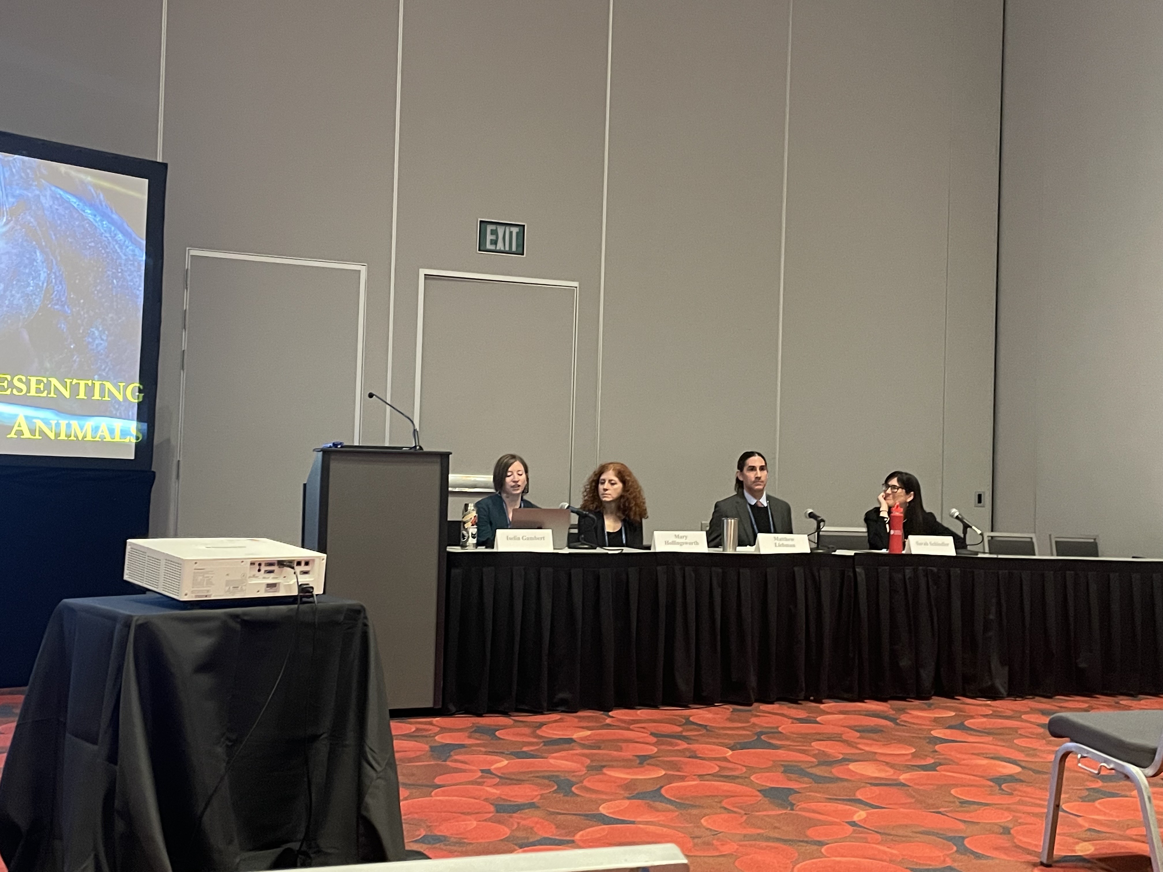 GW Law professor Iselin Gambert sits behind a black table during a panel discussion on Animal Law at the 2025 AALS conference.