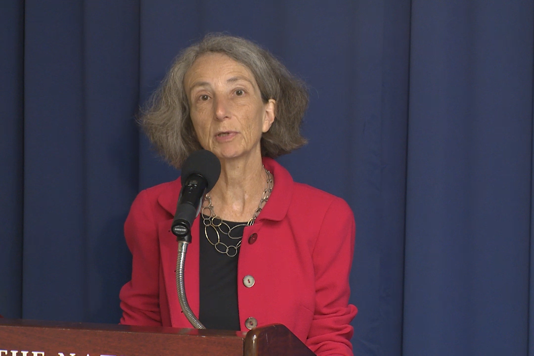 Professor Naomi R. Cahn speaks at a press conference on issues facing the fertility industry.