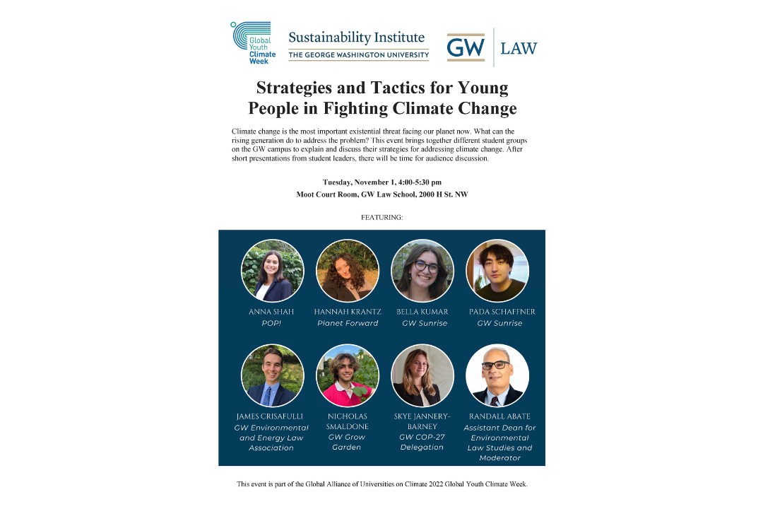 Strategies and Tactics for Young People in Fighting Climate Change flyer