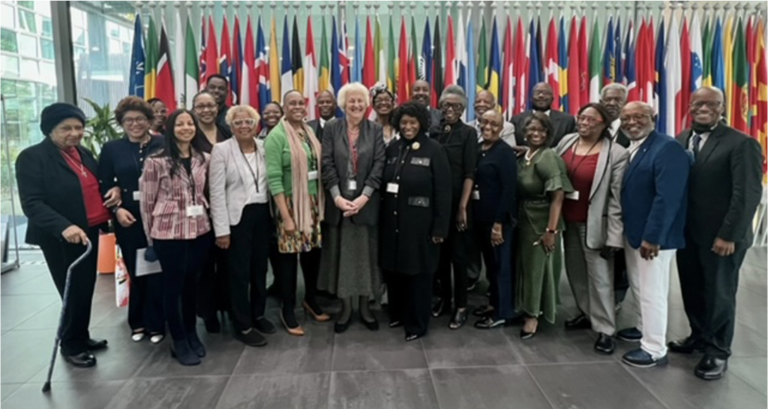 Group standing in front of flags at the ICC