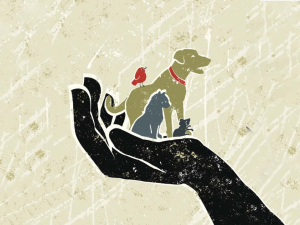 A hand holding a dog, cat, mouse, and bird in it