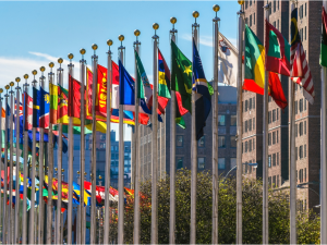 flags of different countries on flag poles swaying in the air