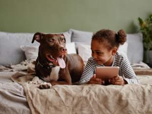 Front view portrait of cute African-American girl lying on bed with big pet dog and smiling, copy space