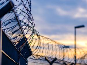 barbed wire fence