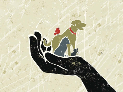 A hand holding a dog, cat, mouse, and bird in it