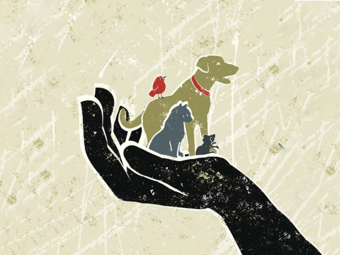 A hand holding a dog, cat, mouse, and bird in it