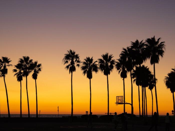 Palm trees and a sunset