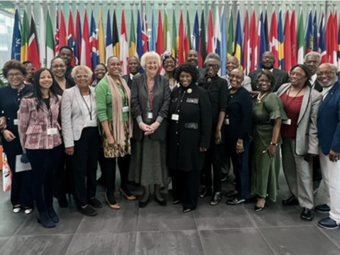 Group standing in front of flags at the ICC