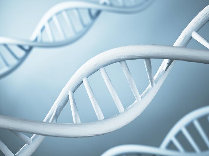 DNA