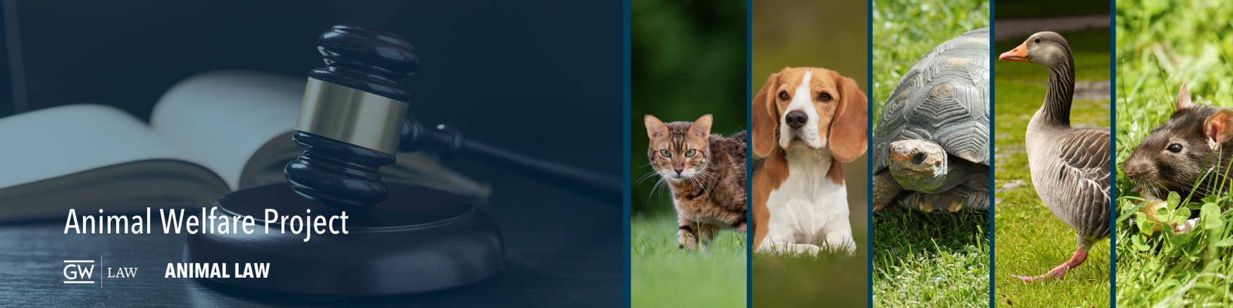 Animal Welfare Project banner 