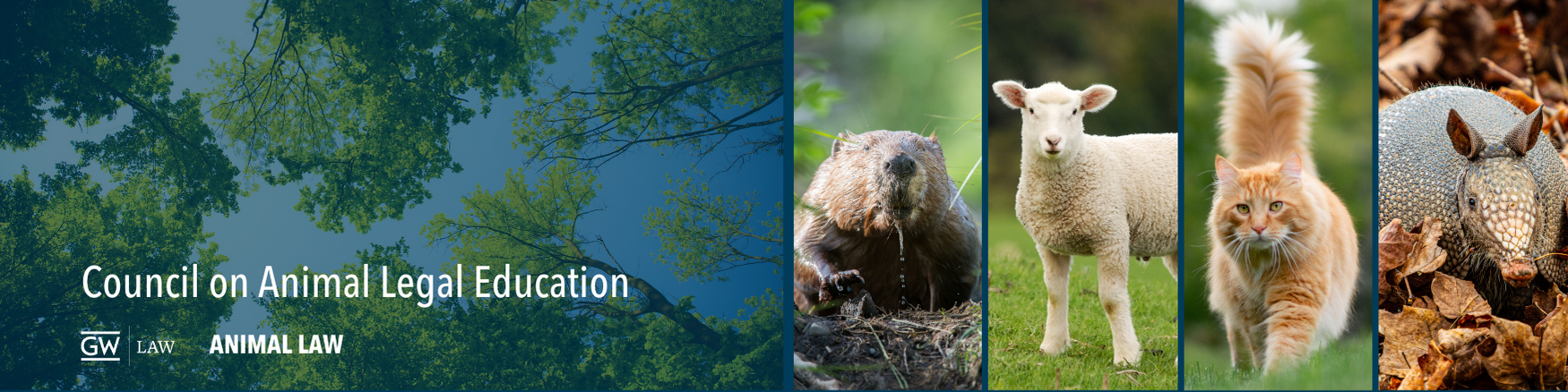 Council on Animal Legal Education at GW Law