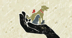 A hand holding a dog, cat, mouse, and bird in it