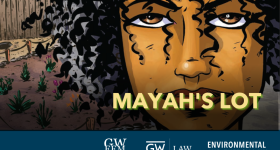 Mayah's Lot book cover